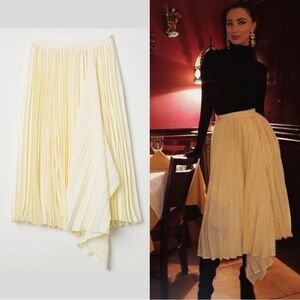Asymmetrical Pleated Skirt​​​​